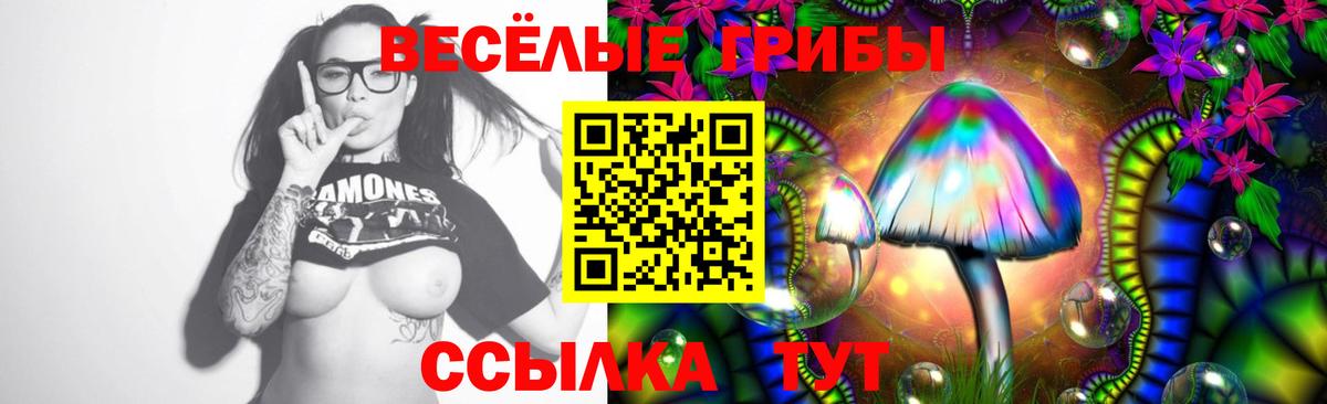 Псилоцибиновые грибы прущие грибы Беслан